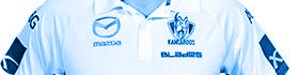 SponsorshipEnquiries.jpg